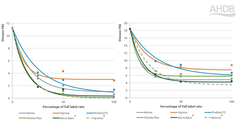 Rhynchosporium disease fungicide performance response chart 2024